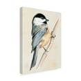 thumbnail image 2 of Trademark Fine Art 'Little Bird on Branch II' Canvas Art by Jennifer Paxton Parker, 2 of 4