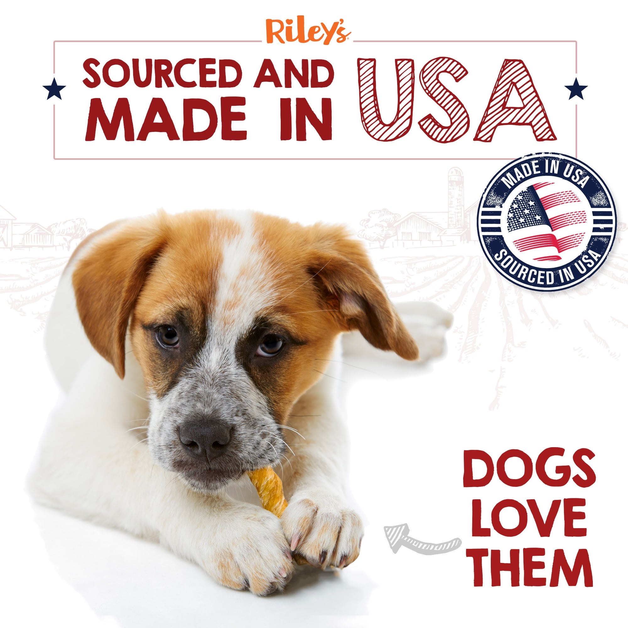 Riley's Steer Bully Sticks for Tiny to Small Dogs - Odor Free Bully Sticks for Small Dogs - Single Ingredient Dog Treat - Gluten-Free, 100% Beef Pizzle Sticks for Dogs - 4-6", 10ct