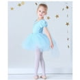 thumbnail image 6 of Emy Dola 3-8T Girls Princess Costume Dance Dress Girls Fairy Tutu Skirted Leotard Ballet Dress Toddler Kids Dancewear-1 Piece, 6 of 7