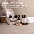 thumbnail image 2 of Jab&oacute;n L&iacute;quido para Manos | 500 ml | Limpieza y Frescura | Libre de Sulfatos y Parabenos, Vegano, Aceites Esenciales, Aroma Energizante de Lim&oacute;n y Naranja | Nook &, 2 of 7