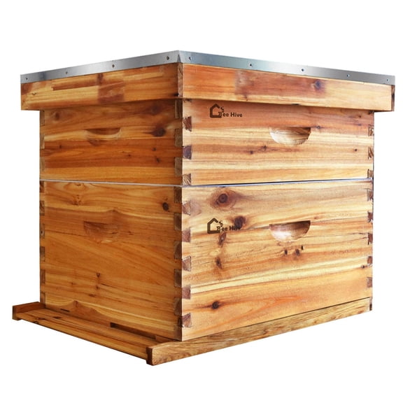 10 Frame Medium Super Honey Beehive, Full Wax Dipped Langstroth Bee Honey Collecting Box