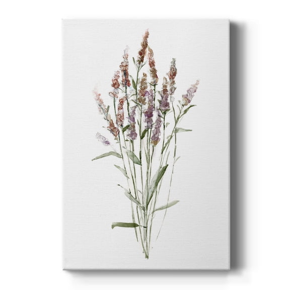 Dainty Botanical III Premium Gallery Wrapped Canvas - Ready to Hang