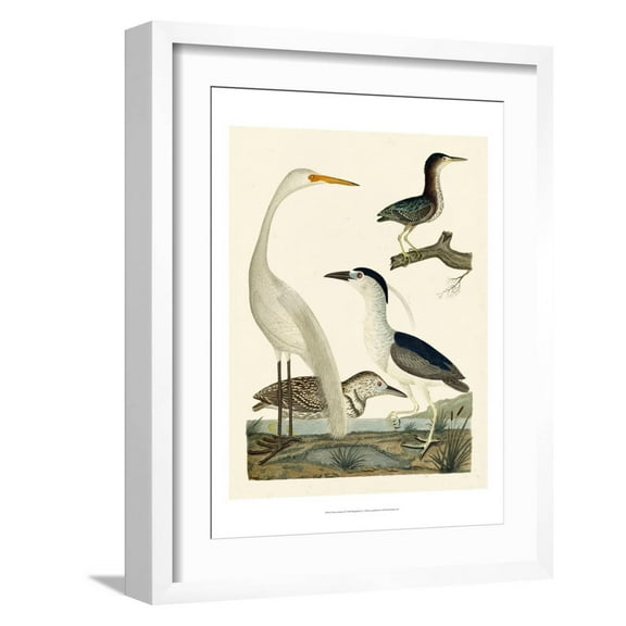 Art.com Heron Family II Art Print by A^ Wilson, White Frame Wall Art, 17" x 21"