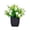 🔥 White_Hot#2916, variant on Artificial Bonsai Plant in Black Pot Plastic Decorative Desktop Greenery for Home Office Windowsill Shelf Long Lasting No Maintenance