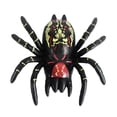 thumbnail image 1 of Glossy Glass Window Wall Crawl For Educational Party And Interactive, 1 of 1