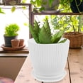 thumbnail image 3 of HXRH 6 Pack Indoor Plastic Planters,Plant Pots with Saucers & Drain Holes,Resin Flower Pots,Medium to Small 7.5/6.5/5.5/4.9/4.2/3.5 Inch,for All Different Types of Plants (White), 3 of 7
