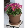 thumbnail image 5 of Bloem Terra Pot Planter - 20" - Living Green, 5 of 6