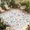 Multi, variant on Botanical Flowers Outdoor Rug for Patio/Deck/Porch, Non-Slip Large Area Rug 5 x 8 Ft, Watercolor Floral Plants Country Indoor Outdoor Rugs Washable Area Rugs, Reversible Camping Rug Carpet Runner