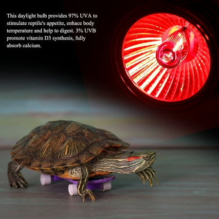 

FAGINEY 1Pc UVA UVB Reptile Heating Light Bulb Snake Turtle Pet Full Spectrum Sunlight Lamp Reptile Light Bulb Reptile Heating Light