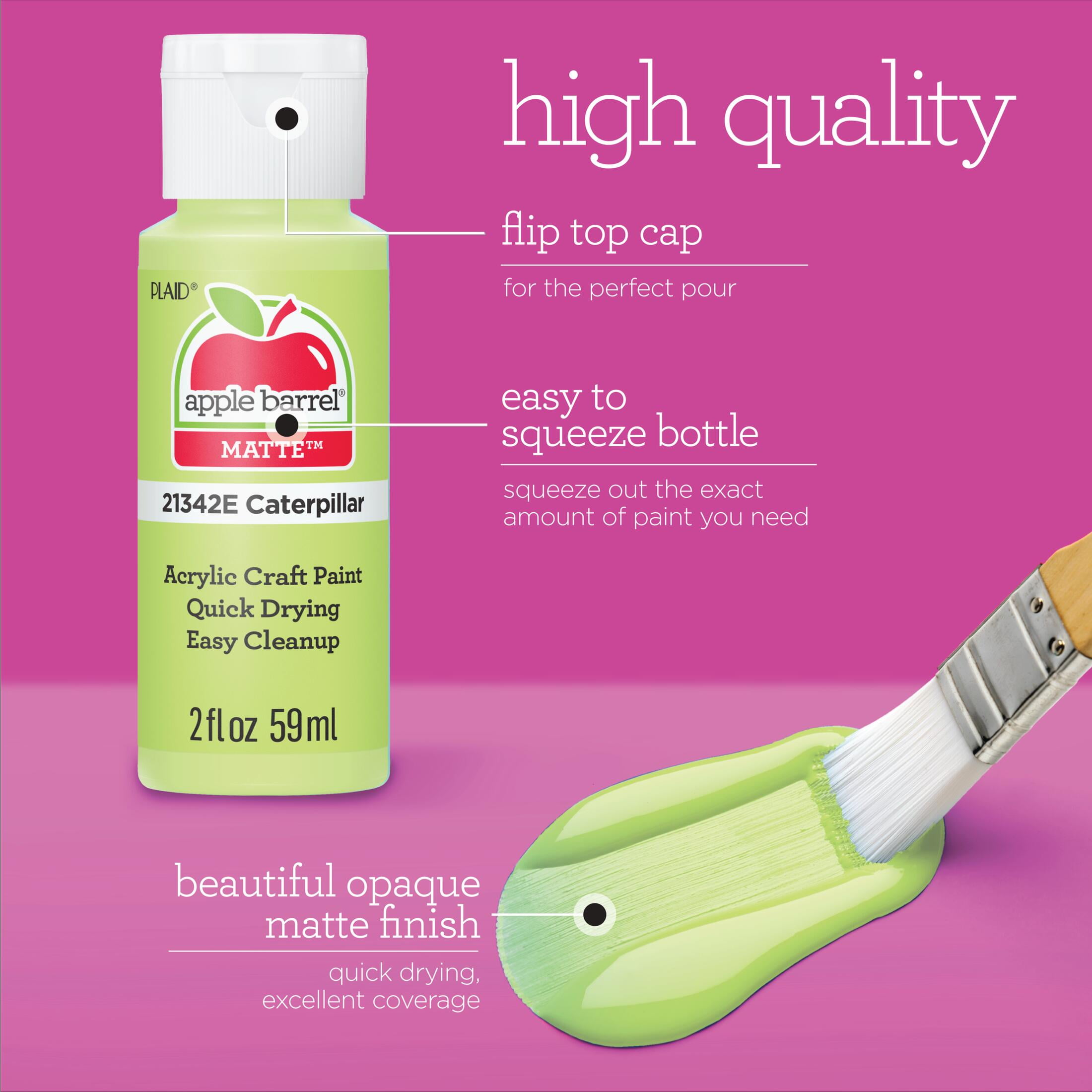 Apple Barrel Homegrown Hues 2 fl oz Acrylic Craft Paint Kit, Matte Finish, 12 pc