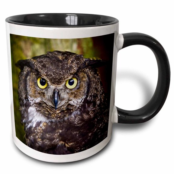 3drose, Alaska Raptor Center, Sitka, Alaska. Close up of a Great Horned Owl., 15oz Two-tone Black Mug