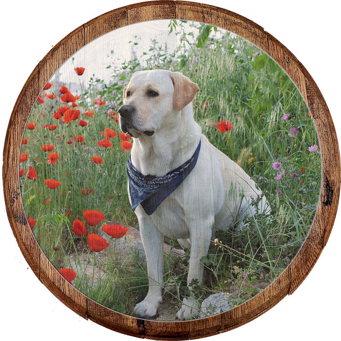 Bar Sign Golden Yellow Lab Labrador Hunting Tracking Dog Bar Wall Decor