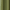 Dark Cilantro, variant on Better Homes & Gardens Micro Geo Blackout Woven Ladder Single Curtain Panel, 1-Piece, Brownstone, 50" W x 84" L