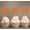 Orange, variant on Darling Souvenir, Mr & Mrs Wedding Cupcake Toppers, Party Dessert Decorations - Pack Of 40
