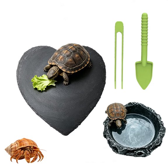 Reptile Aquarium Accessories Set, Hearthstone Bathing Platform Rock Feeding Bowl Cleaning Tweezers and Shovel, Gecko, Lizard, Frog, Turtle, Hermit Crab