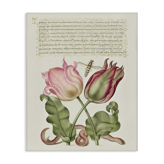 Stupell Industries Tulips & Insects Antique Text & Numbers Painting Wrapped Canvas Art Print Wall Art, 16 x 20