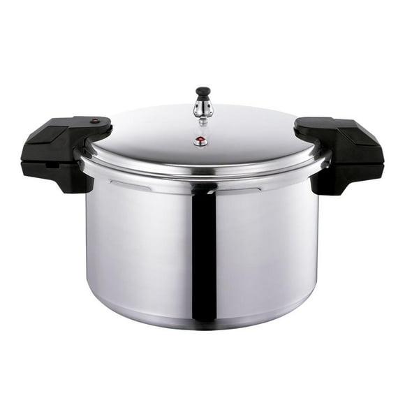 Olla de Presión T-Fal Plateado de 16 Litros