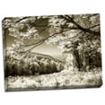 thumbnail image 2 of Gango Home Decor Swift Run Gap II by Alan Hausenflock (Ready to Hang); One 24x18in Hand-Stretched Canvas, 2 of 4