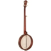 Recording King RKO-3S Open-Back Banjo