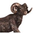 thumbnail image 6 of Wildlife Animal Taxidermy Bighorn Sheep Ram Climbing on Sloping Rock Statue 12"H, 6 of 9