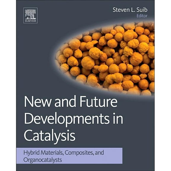 New and Future Developments in Catalysis: Hybrid Materials, Composites, and Organocatalysts, (Hardcover)