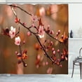thumbnail image 1 of Ambesonne Nature Shower Curtain, Sakura Flourishing, 69"Wx75"L, Pale Pink Dark Coral, 1 of 3