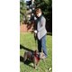 thumbnail image 4 of Correa para perros Primal Pet Gear de 1,8 m de largo con doble asa reflectante, 4 of 8