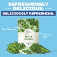 thumbnail image 4 of HTeaO Mint Black Tea Packets – Makes 4 Gallons of Naturally Sweet Tea in 5 Minutes – Large Tea Sachets for Parties, Family Gatherings, & Groups – Texas-Style Iced Tea Packets for Quick Brew (8-Count), 4 of 4
