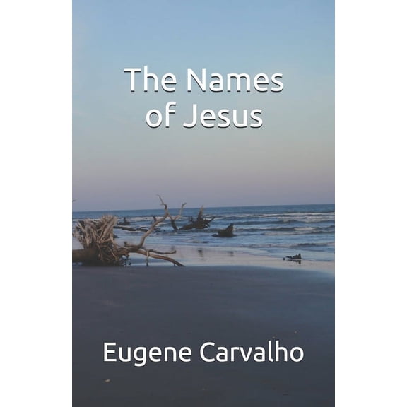 The Names of Jesus (Paperback)