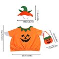 thumbnail image 2 of Halloween Porch Goose Outfit Set with Pumpkin Print for Outdoor Yard Garden Festive Decoration, 2 of 6