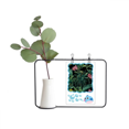thumbnail image 1 of Flower Dark Sky Transparent Glass Hanging Vases Decoration Bottle, 1 of 2