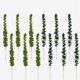 thumbnail image 3 of Planta artificial simulación de flores artificiales hoja de eucalipto decoración de boda para un solo hogar adorno arreglo floral (verde*30) ER, 3 of 4