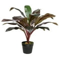 thumbnail image 2 of Northlight Real Touch™️ Red and Green Artificial Dracaena Potted Plant - 23", 2 of 9