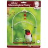 ARBOR BIRD SWING WHITE