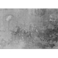 thumbnail image 1 of Ahgly Company Indoor Rectangle Oriental Gray Industrial Area Rugs, 3' x 5', 1 of 4