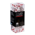 thumbnail image 2 of Vickerman 50 Red Wide Angle LED Light on White Wire, 25' Christmas Single Mold Light Strand, 2 of 4