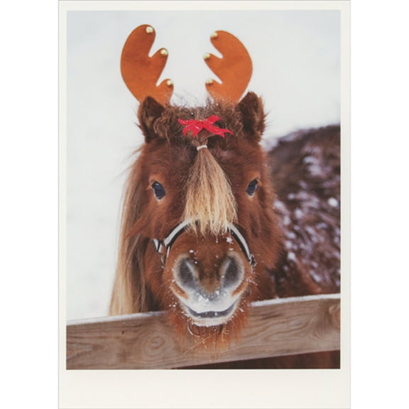Palm Press Horse with Costume Antlers Behind Fence Box of 10 Christmas Cards