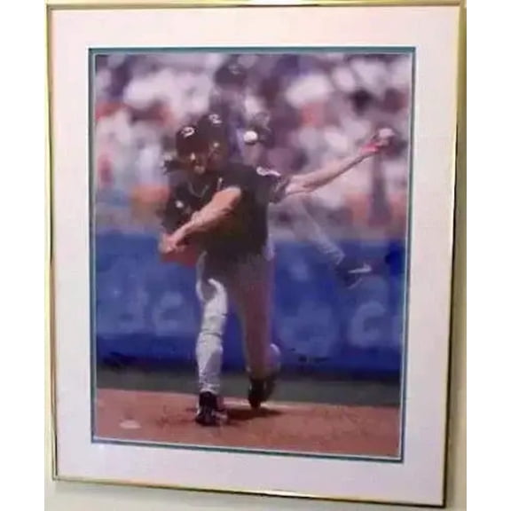 Randy Johnson autographed Arizona Diamondbacks 16x20 poster size photo framed UDA