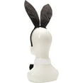 thumbnail image 3 of Adult Women's Rabbit Accessory Kit, 3 of 3