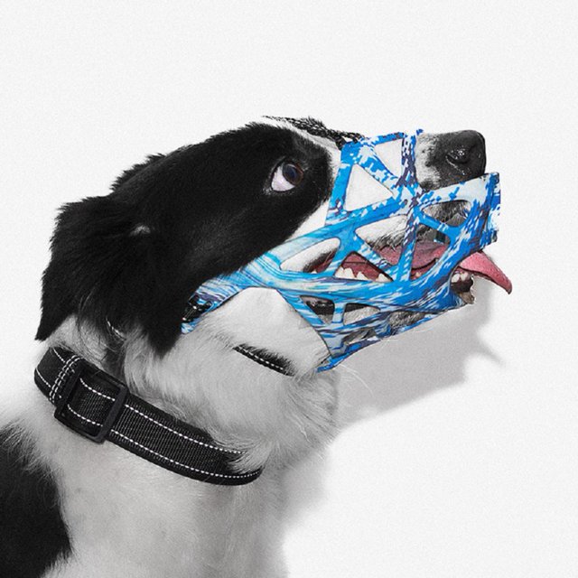 Dog Muzzle Anti Biting Anti Eating Lightweight Durable Humanized Adjustable Black Sky Blue