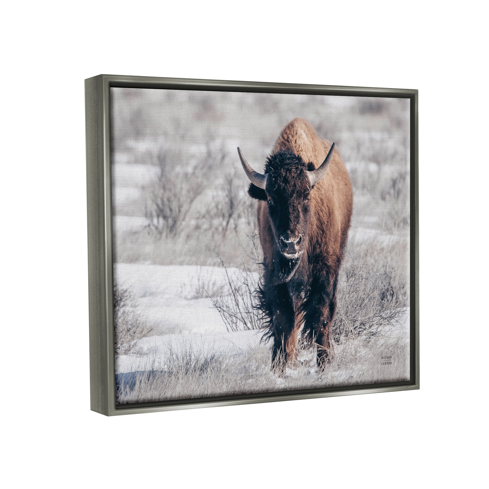 Stupell Industries Bison in Rural Snow Scene Animals & Insects Photography Gray Floater Framed Art Print Wall Art, 31 x 25