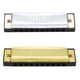 thumbnail image 1 of 10Hole 20Tones Blues Harmonica + Dorado 10Hole 20Tonos Blues Harmonica, 1 of 9