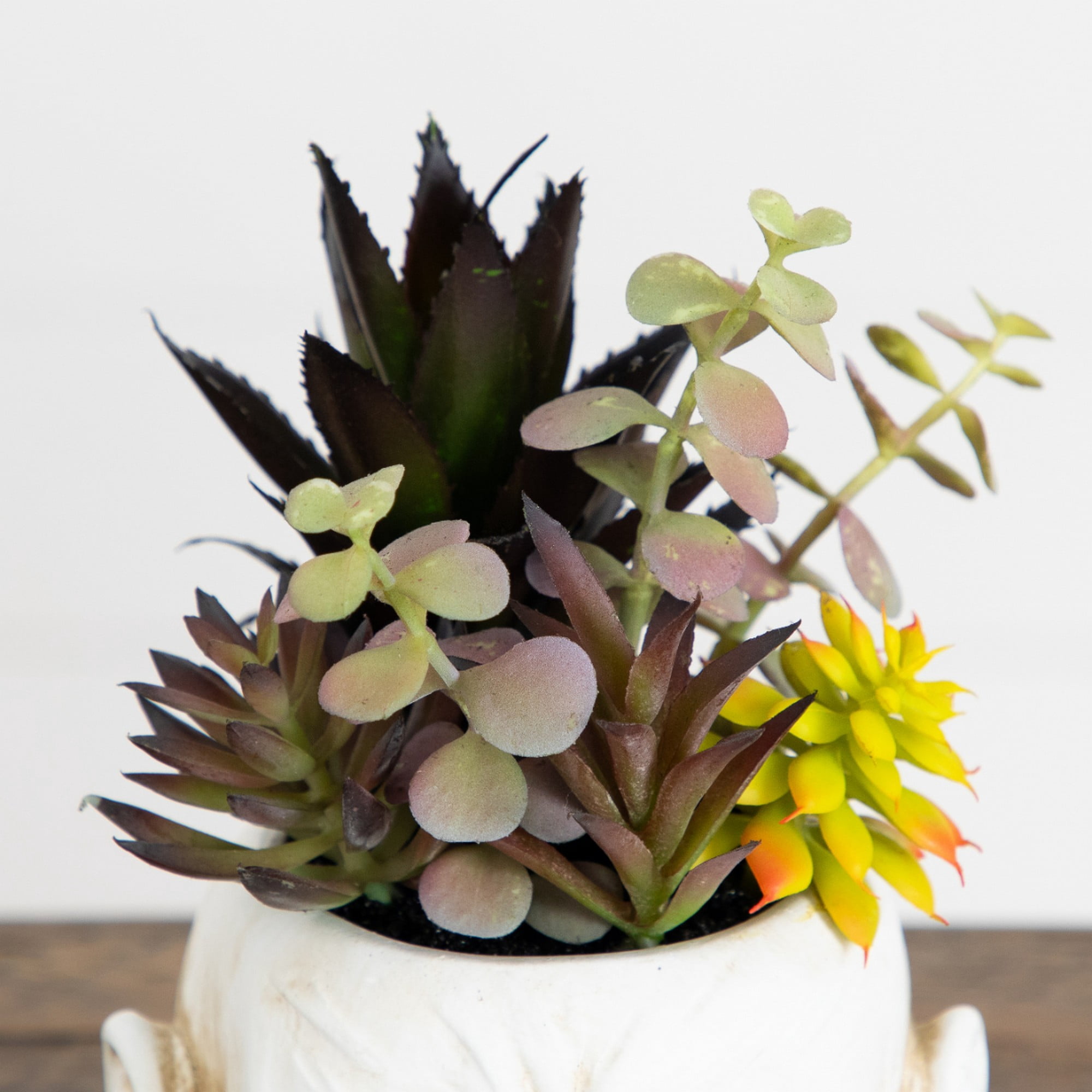 8in. Artificial Halloween Succulent Garden in Zombie Halloween Planter
