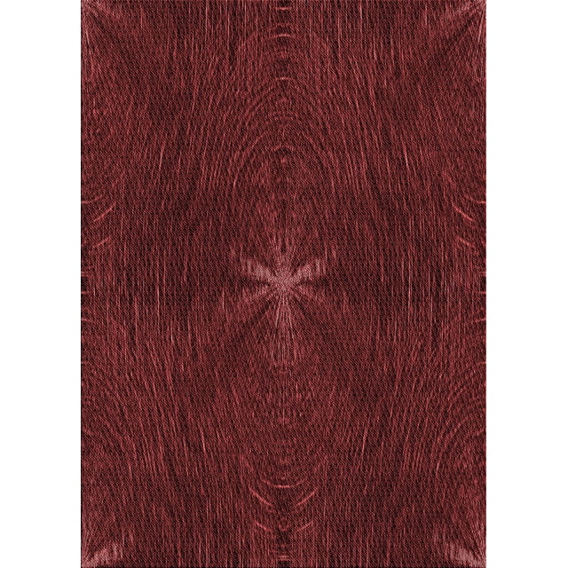 Ahgly Company Tapis d'Intérieur Rectangulaires Transitionnels Rouges Lavables à la Machine, 2 Pieds x 5 Pieds