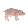 thumbnail image 2 of s de animales de cerdo de granja, modelo de simulación realista, juguete educativo de aprendizaje Zulema  Figura de juguete de estatuilla de cerdo, 2 of 6