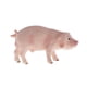 thumbnail image 2 of s de animales de cerdo de granja, modelo de simulación realista, juguete educativo de aprendizaje Zulema  Figura de juguete de estatuilla de cerdo, 2 of 6