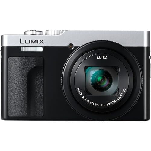Panasonic ZS99 Digital Camera (Silver) Bundle + Accessory Kit with