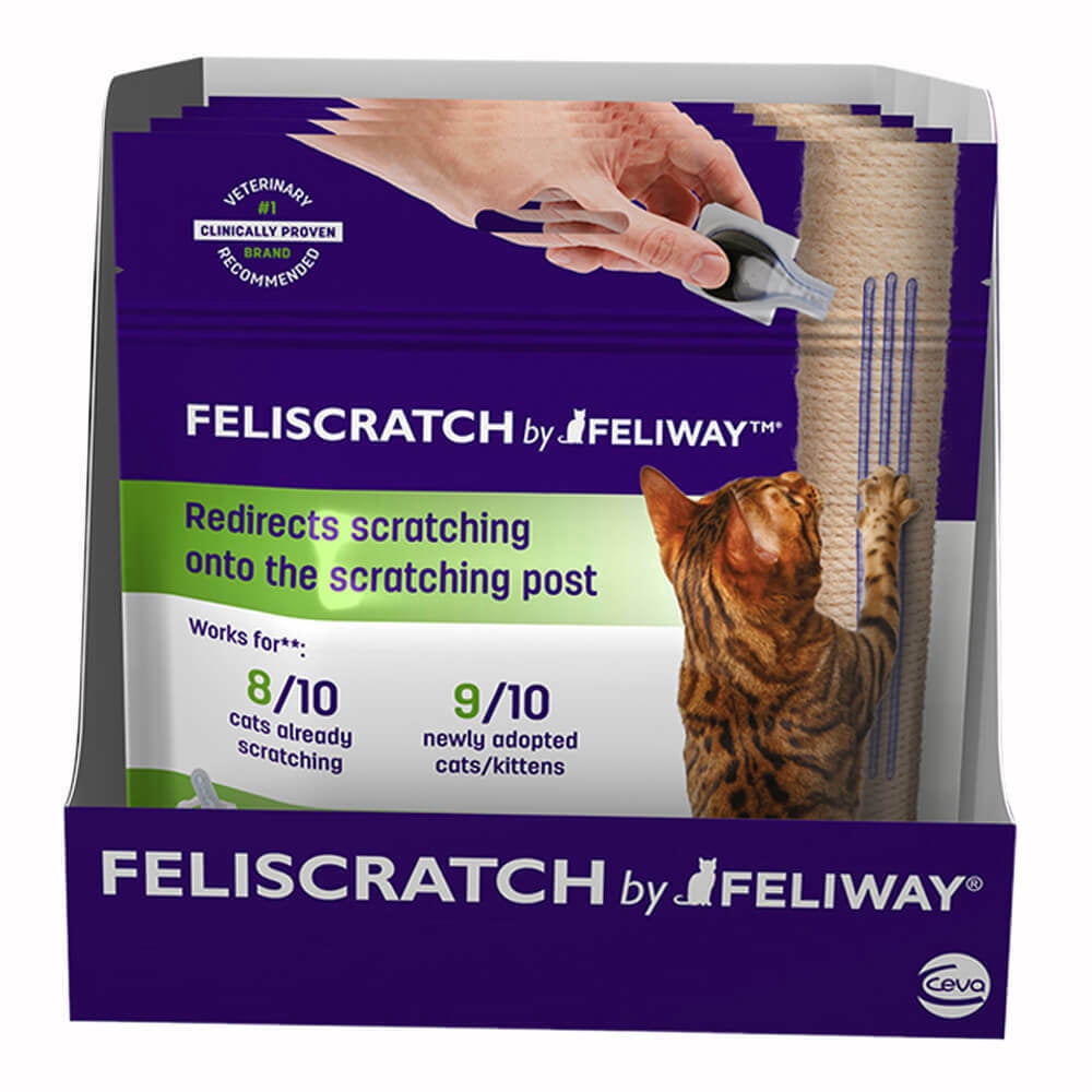 feliscratch