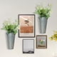 thumbnail image 4 of Florero de pared para flores secas s de almacenamiento s de pared para Decoración rústica pared Zulema Jardinera de pared, 4 of 8