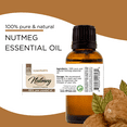 thumbnail image 3 of GreenHealth Nutmeg Essential Oil 8 fl oz (237 ml) Glass Bottle with Cap, 3 of 4